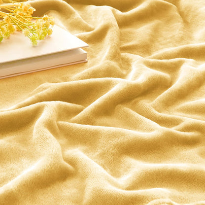 BEDELITE Fleece Blanket Black Throw Blankets for Couch & Bed, Luxury Plush Cozy Fuzzy Blanket 50x60 inches, Super Soft Warm Lightweight Throw Blanket for Travel Camping - Colors B