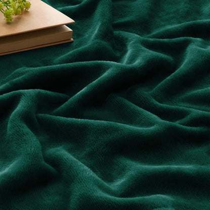 BEDELITE Fleece Blanket Black Throw Blankets for Couch & Bed, Luxury Plush Cozy Fuzzy Blanket 50x60 inches, Super Soft Warm Lightweight Throw Blanket for Travel Camping - Colors B