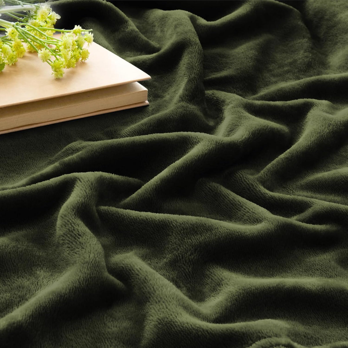 BEDELITE Fleece Blanket Black Throw Blankets for Couch & Bed, Luxury Plush Cozy Fuzzy Blanket 50x60 inches, Super Soft Warm Lightweight Throw Blanket for Travel Camping - Colors B