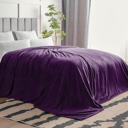 BEDELITE Fleece Blanket Black Throw Blankets for Couch & Bed, Luxury Plush Cozy Fuzzy Blanket 50x60 inches, Super Soft Warm Lightweight Throw Blanket for Travel Camping - Colors B