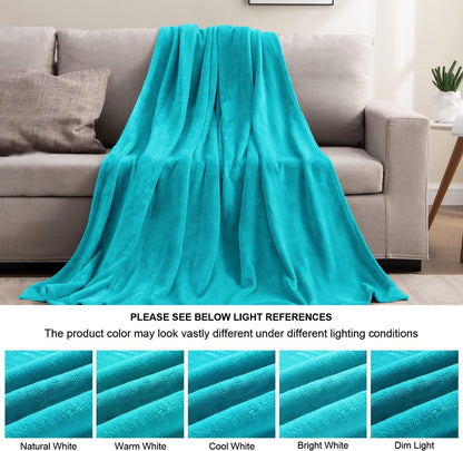 BEDELITE Fleece Blanket Black Throw Blankets for Couch & Bed, Luxury Plush Cozy Fuzzy Blanket 50x60 inches, Super Soft Warm Lightweight Throw Blanket for Travel Camping - Colors B