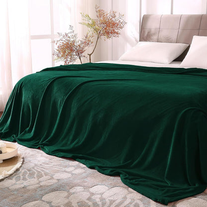 BEDELITE Fleece Blanket Black Throw Blankets for Couch & Bed, Luxury Plush Cozy Fuzzy Blanket 50x60 inches, Super Soft Warm Lightweight Throw Blanket for Travel Camping - Colors B