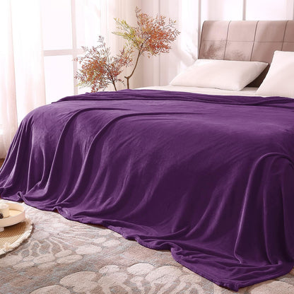 BEDELITE Fleece Blanket Black Throw Blankets for Couch & Bed, Luxury Plush Cozy Fuzzy Blanket 50x60 inches, Super Soft Warm Lightweight Throw Blanket for Travel Camping - Colors B