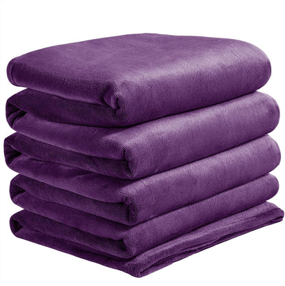 BEDELITE Fleece Blanket Black Throw Blankets for Couch & Bed, Luxury Plush Cozy Fuzzy Blanket 50x60 inches, Super Soft Warm Lightweight Throw Blanket for Travel Camping - Colors B