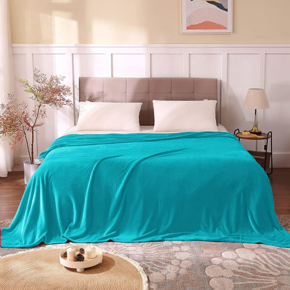 BEDELITE Fleece Blanket Black Throw Blankets for Couch & Bed, Luxury Plush Cozy Fuzzy Blanket 50x60 inches, Super Soft Warm Lightweight Throw Blanket for Travel Camping - Colors B