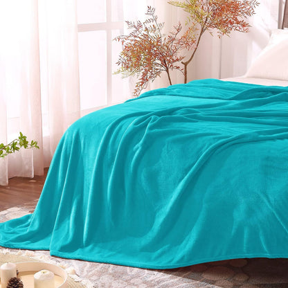 BEDELITE Fleece Blanket Black Throw Blankets for Couch & Bed, Luxury Plush Cozy Fuzzy Blanket 50x60 inches, Super Soft Warm Lightweight Throw Blanket for Travel Camping - Colors B