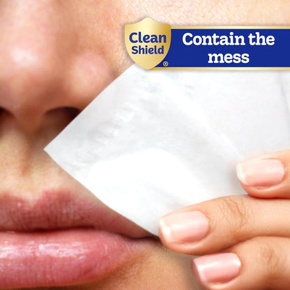 On-The-Go Facial Tissues, 16 On-The-Go Packs, 10 per Box, 3-Ply (160 Total), Packaging May Vary