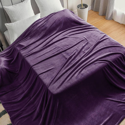 BEDELITE Fleece Blanket Black Throw Blankets for Couch & Bed, Luxury Plush Cozy Fuzzy Blanket 50x60 inches, Super Soft Warm Lightweight Throw Blanket for Travel Camping - Colors B