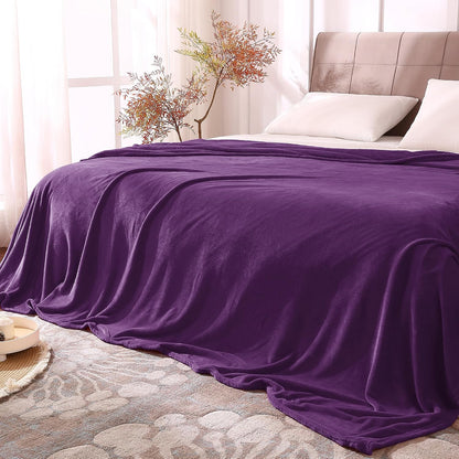 BEDELITE Fleece Blanket Black Throw Blankets for Couch & Bed, Luxury Plush Cozy Fuzzy Blanket 50x60 inches, Super Soft Warm Lightweight Throw Blanket for Travel Camping - Colors B